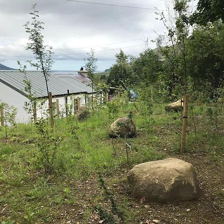An Bothan-Cosy Cottage In The Cooley Mountains Dundalk Luaran gambar
