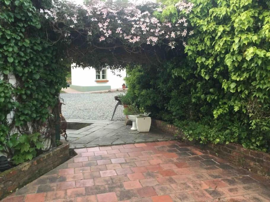 An Bothan-Cosy Cottage In The Cooley Mountains Dundalk Luaran gambar