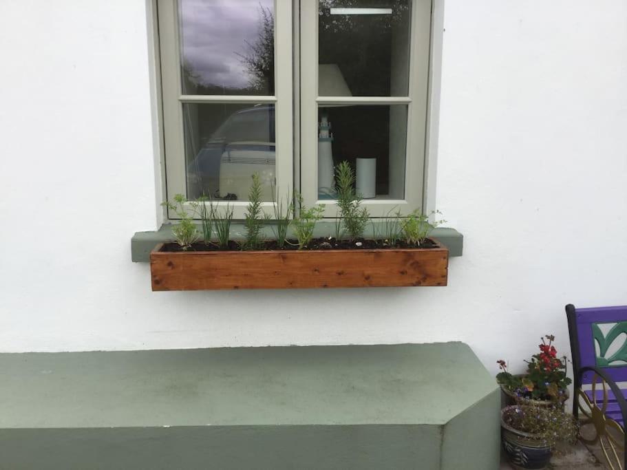An Bothan-Cosy Cottage In The Cooley Mountains Dundalk Luaran gambar